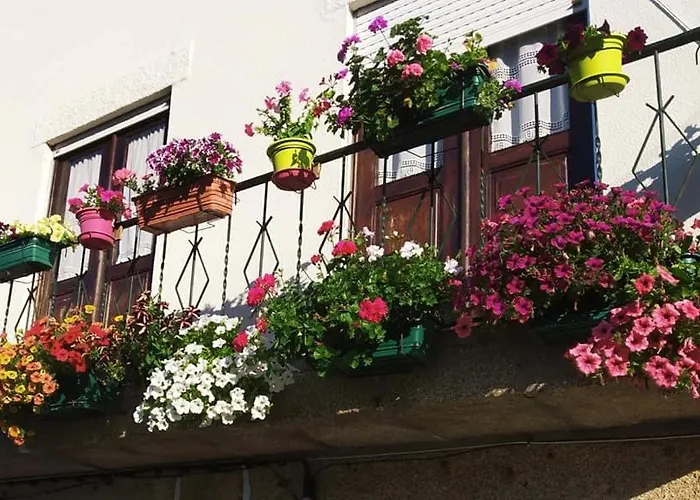 Casa Polido テルマス・デ・サン・ペードロ・ド・スル