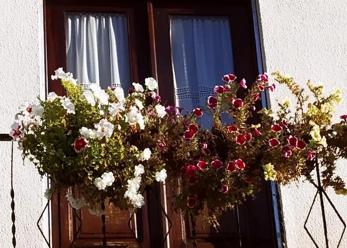 ゲストハウス Casa Polido テルマス・デ・サン・ペードロ・ド・スル